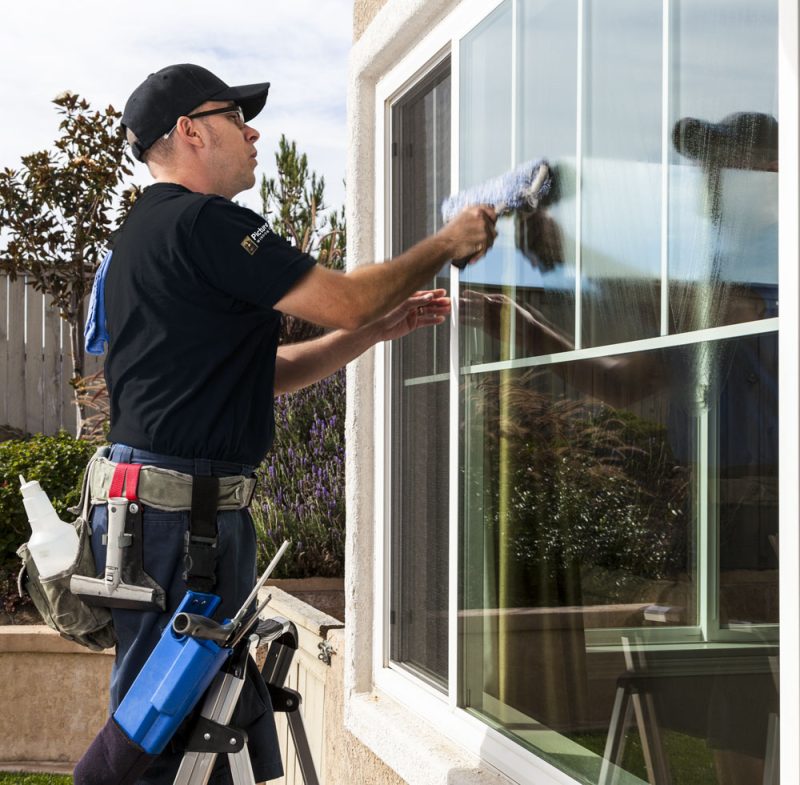 Octoforce - Window Washing St.Kilda